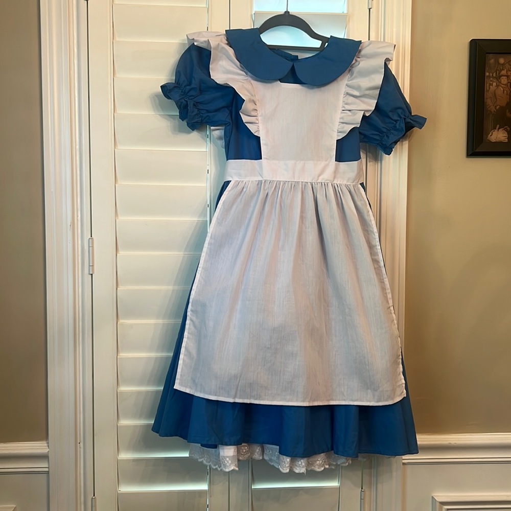 alice costume